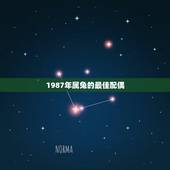 1987年属兔的最佳配偶，属兔的最佳配偶是属什么的