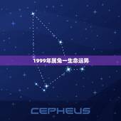 1999年属兔一生命运男，1999年男兔婚配上等婚
