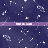 羊肖2022年运势，属羊的2021年运势运程