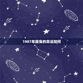 1987年属兔的命运如何，1987年属兔人运势