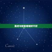 属虎与蛇配婚姻好不好，属虎和属蛇的婚姻化解