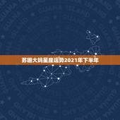 苏珊大妈星座运势2021年下半年，最准确的2021年星座运势