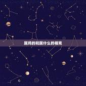 属鸡的和属什么的相克，属猪的和什么属相相克