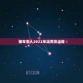 猪年生人2022年运势及运程 虎年猪的运势及运程