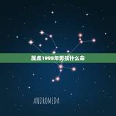 属虎1998年男孩什么命，1998年属虎的男孩是什么命