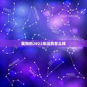 属狗的2022年运势怎么样，1970年属狗2022年运势