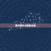 属马用什么昵称合适，属马的用什么字取名字好