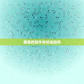 属兔的到牛年时运如何，属兔人牛年如何转运