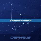请问属狗的配什么属相更好，狗配什么生肖结婚更好