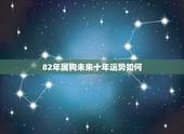 82年属狗未来十年运势如何，1982年属狗未来10年大运