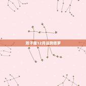双子座12月运势塔罗，双子座2012的运势