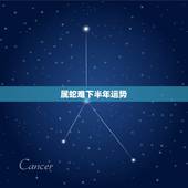 属蛇难下半年运势，1975属兔人2022 年运势