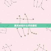 属龙的起什么店名最旺，属龙和属羊的一起开饭店起什么名字最好