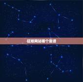 征婚网站哪个靠谱，什么征婚网站比较可靠？