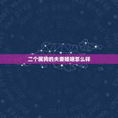 二个属狗的夫妻婚姻怎么样，28岁的狗今年能找着对象吗
