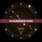 有6朵正缘桃花会有几次婚姻，正缘桃花几朵更好