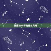 属猪的49岁有什么灾难，83年属猪的灾难年
