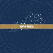 新手养龟须知，养乌龟有哪些注意事项？