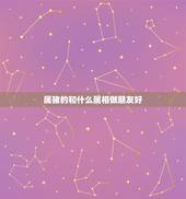 属猪的和什么属相做朋友好，属猪的和什么属相好