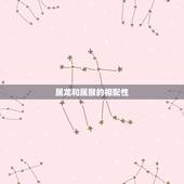 属龙的和属猴的相配吗(介绍龙猴组合的爱情运势如何)