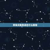 男兔女属龙适合什么属相，男属兔1975年女属龙1988年相配吗