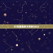 87年属兔多大年龄2022，属龙的年龄表