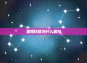 属猴结婚冲什么属相，属猴的结婚忌什么属相