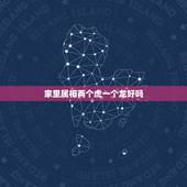 家里属相两个虎一个龙好吗，属虎和属龙的合适吗？