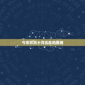 今年农历十月出生的属相，1995年农历十月初六出生属什么？今年多大？