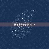 属羊今年多少岁2022，79年属羊2022年每月运势