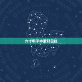 六十甲子中更好日柱，60种一柱断命法