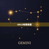 2022年紫微星，圣女和 2023年