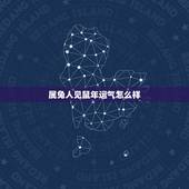 属兔人见鼠年运气怎么样，属兔的人2022 年运气