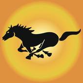 2023年女马年的运势(顺风顺水财源滚滚)