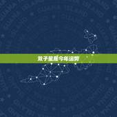 双子星座今年运势，双子座今年运势