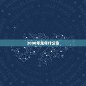 2000年龙年什么命，2002马五行属什么命