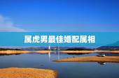 属虎男最佳婚配属相，属虎的最佳配对属相是什么？