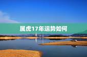属虎17年运势如何，属虎的今年17年的实际年领和运气如何