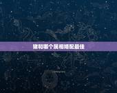 猪和哪个属相婚配最佳，属相婚配，属猪的和什么属相最配