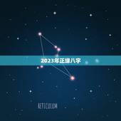 2023年正缘八字，乙木2022年结婚