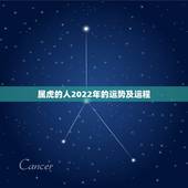 属虎的人2022年的运势及运程，2022年属虎宝宝名字