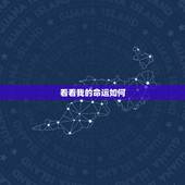 看看我的命运如何，看看我的命运如何，有劳各位了。