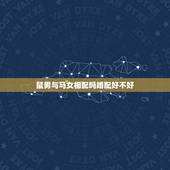 鼠男与马女相配吗婚配好不好，属相婚配：男属马和女属鼠相配吗