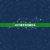2021属于五行属什么，2021年是什么牛五行属什么