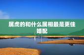 属虎的和什么属相最是更佳婚配，74年属虎更佳配偶属相