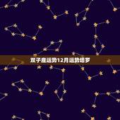 双子座运势12月运势塔罗，双子座在塔罗牌中代表什么