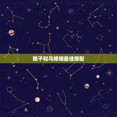 猴子和马婚姻最佳婚配，属猴与属马婚配好不好
