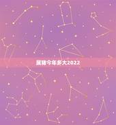 属猪今年多大2022，属猪今年多大年纪