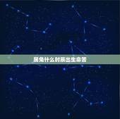 属兔什么时辰出生命苦，生肖兔女最怕出生几月
