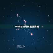 1954年的婚配最佳属相，属马婚配什么属相最佳